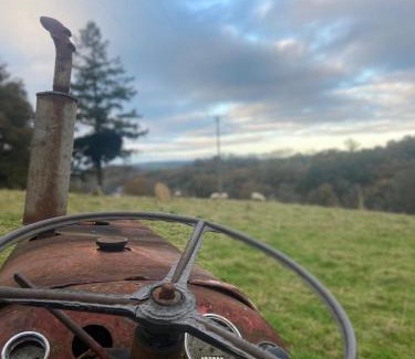 Morwellham Otro | The Megabus near Tavistock and Dartmoor.