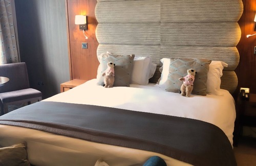 Mere Hotel | The Mere Golf Resort & Spa