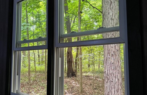 Mill Creek Cabina | The Mill Creek Hideout
