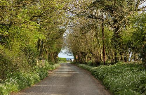 Dungarvan Apartamento | The Moat on the Greenway