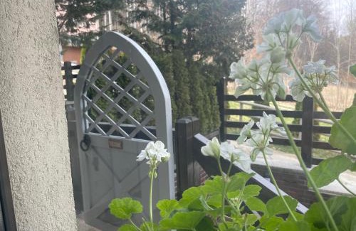 Sinaia Apartamento | The Nest