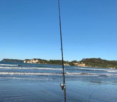 Whitianga Hotel | The Oceanside Motel