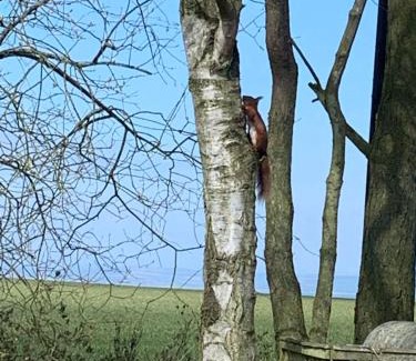 St. Andrews Cama Y Desayuno | The Old Station Guest House