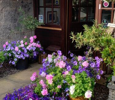 St. Andrews Cama Y Desayuno | The Old Station Guest House