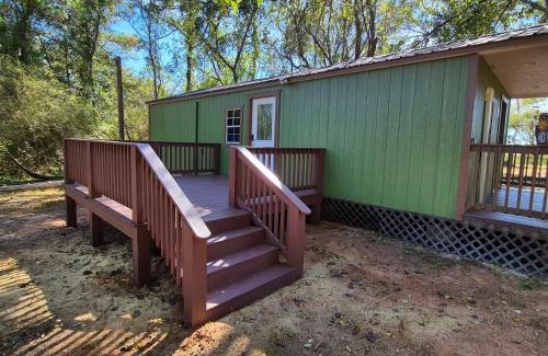 Evergreen Casa | The Owl's Nest