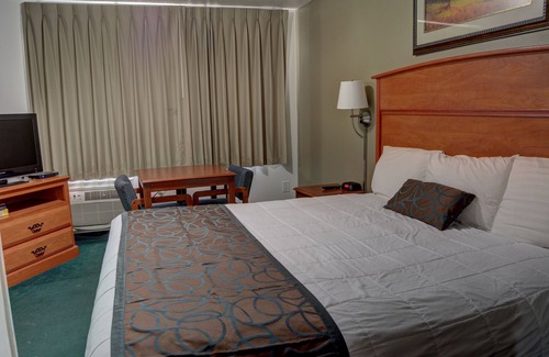 Overlook Hotel | The Palms Motel