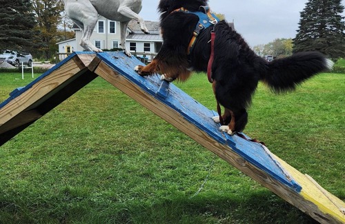 West Rutland Cabaña | The Paw House Inn & Country Cottages