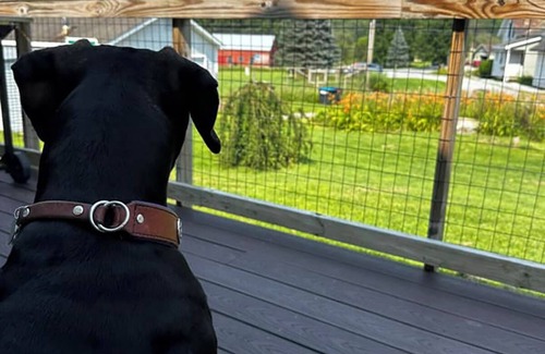 West Rutland Cabaña | The Paw House Inn & Country Cottages