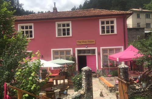Polkovnik Serafimovo Casa | The Pink House