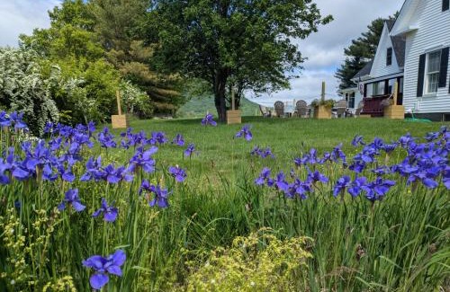 Colebrook Complejo | The Porch on Main