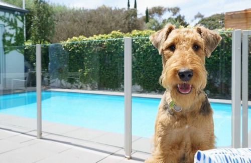 Portsea Casa | The Portsea Hideaway - Portsea Pool Paradiso