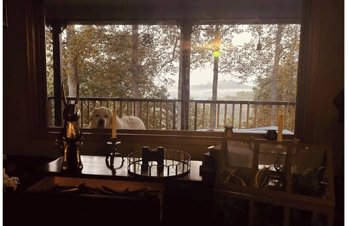 Burnsville Casa | The Queen of Hearts House: An Eclectic, Rustic & Royal Wonderland