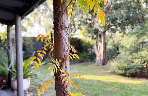 Glenroy Casa | The Roy ✨ Family home close to airport + train
