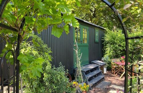 Wingfield Otro | The Rumple Hut