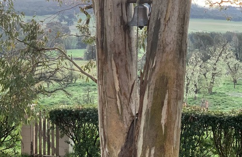 Peel Cabaña | The Rural Interlude - Brucedale Cottage