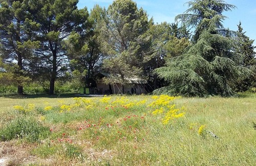 Mazan Alquiler De RV | La tienda de safari tiene una cocina, cuarto de baño y privado situado en un campo de 2500m2.