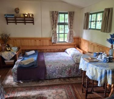 Redditch Otro | The Shack in the Woods- Off Grid