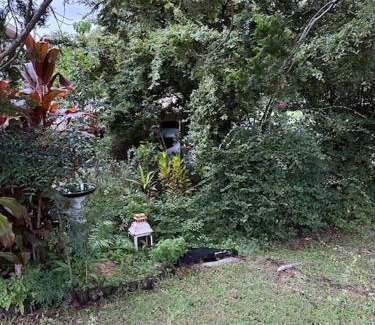 Coffs Harbour Apartamento | The singing frogs studio