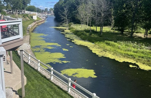 Caseville Casa | The Spacious Canal Condo