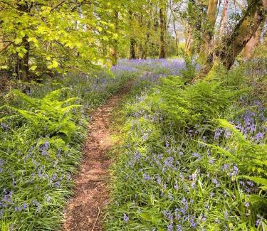 Llanybri Cabina | The Squirrel Lodge - Hot Tub - Pet Friendly - Pembrokeshire-Tenby