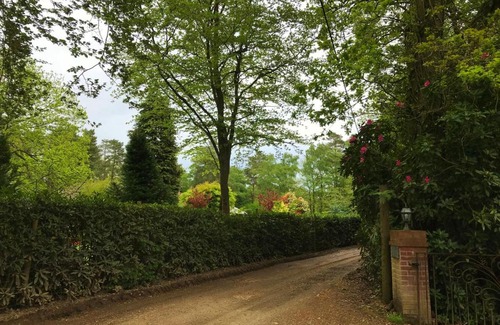 New Forest District Casa | The Squirrels