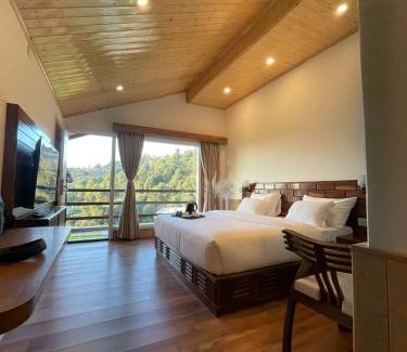 Shimla Hotel | The Stone Age : a boutique hotel