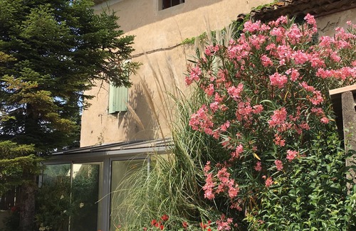 Sarrians Apartamento | El estudio de Arthure en Provenza. Dormitorio y baño, y cocina americana en el campo.