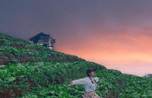 Mae Rim Casa | The sun Sky monjam เดอะซัน สกาย ม่อนแจ่ม