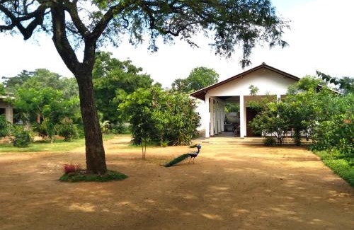 Moragaswewa Casa | The Treasure - Habarana
