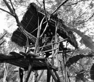 Moragaswewa Casa | The Treasure - Habarana
