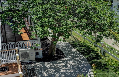 Cape May Cabaña | The Velvet Rose