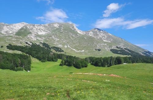 Zabljak Apartamento | The View Smrcevo Brdo