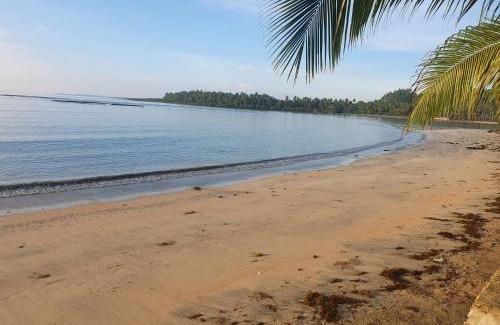 Can-Avid Complejo | The White Beach