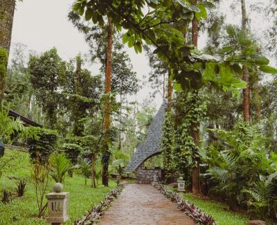 Chikkamagaluru Complejo | The Wild Rest Nature Resort