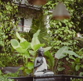 Chikkamagaluru Complejo | The Wild Rest Nature Resort