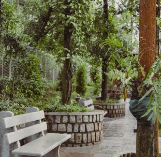 Chikkamagaluru Complejo | The Wild Rest Nature Resort