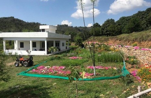 Nurpur Casa | The Wild Wild