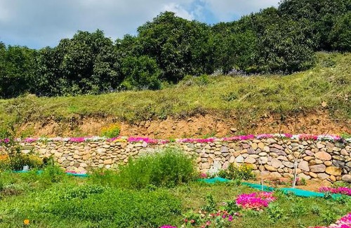 Nurpur Casa | The Wild Wild