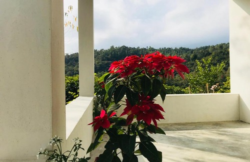 Nurpur Casa | The Wild Wild