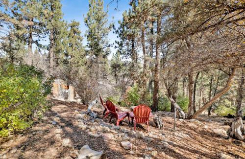 Big Bear City Casa | The Wilkie Cabin #339