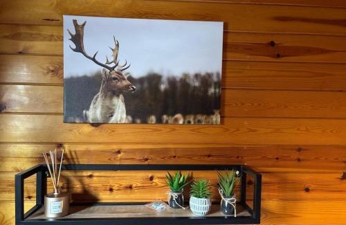 Weris Chalet De Esquí | The Wooden Whisper