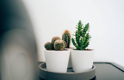 Glarus Apartamento | TheNest