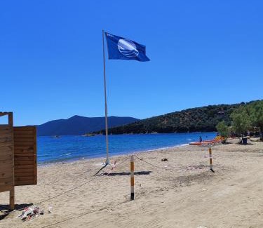 Pteleos Apartamento | Theoxenia