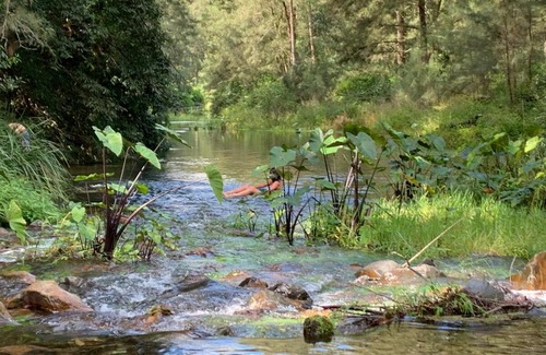 Thumb Creek Casa | Thumb Creek Cabin and private swimming hole