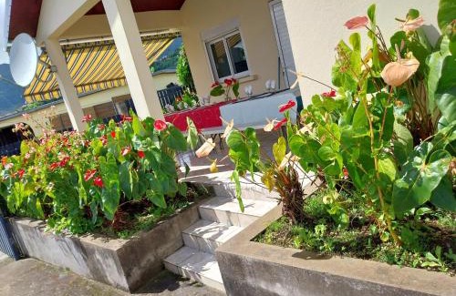 Dos d'Ane Casa | Ti kaz anturium