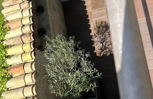 Centre Ville Casa | TI ST-BARTH - Charming 1 bedroom house - 2 steps from Niort town center