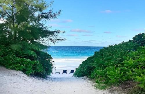 Dunmore Town Casa | Tickled Pink