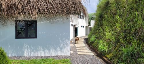 Garabito Villa | Tierra Vital Atenas Villa 2