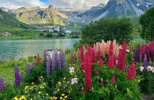 Val Claret Apartamento | Tignes Val-Claret, Apt 2P Cabine 33m², 6 pers, Balcon - FR-1-449-193