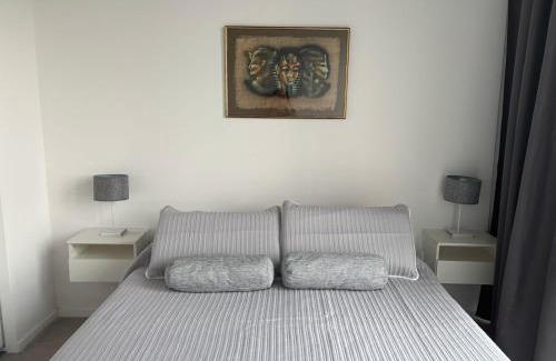 Tigre Apartamento | Tigre High View Luxury views